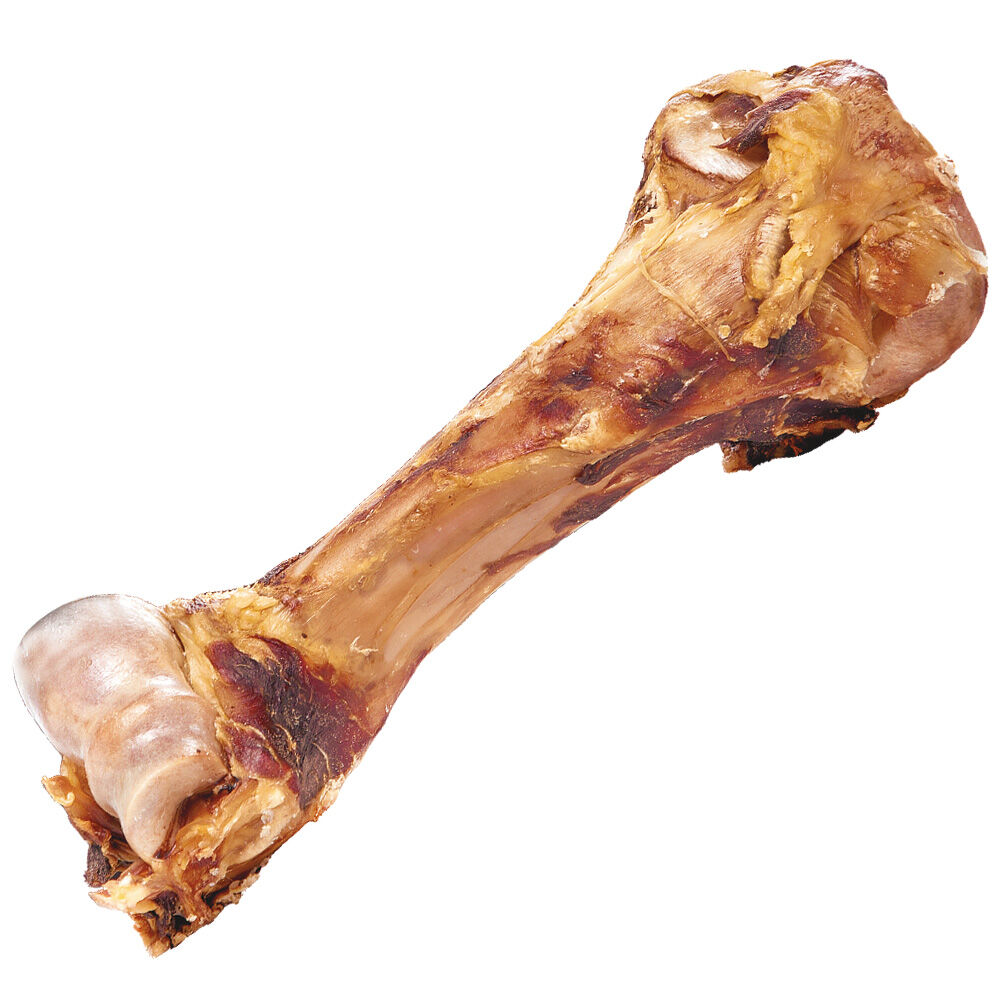 Dino Knochen, Aus Bullen Oberschenkelknochen Hunde