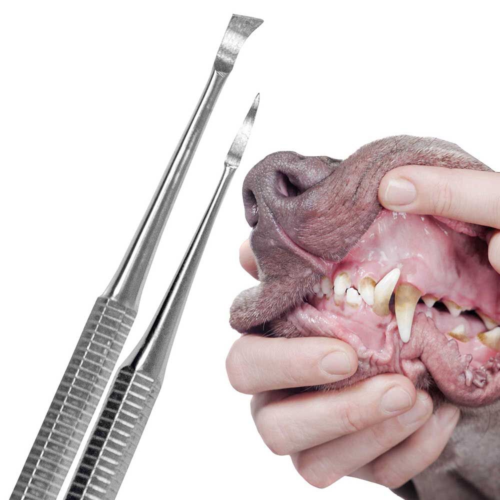 ZahnsteinEntfernerSet, 3teilig Schecker Hundebedarf Hundeartikel