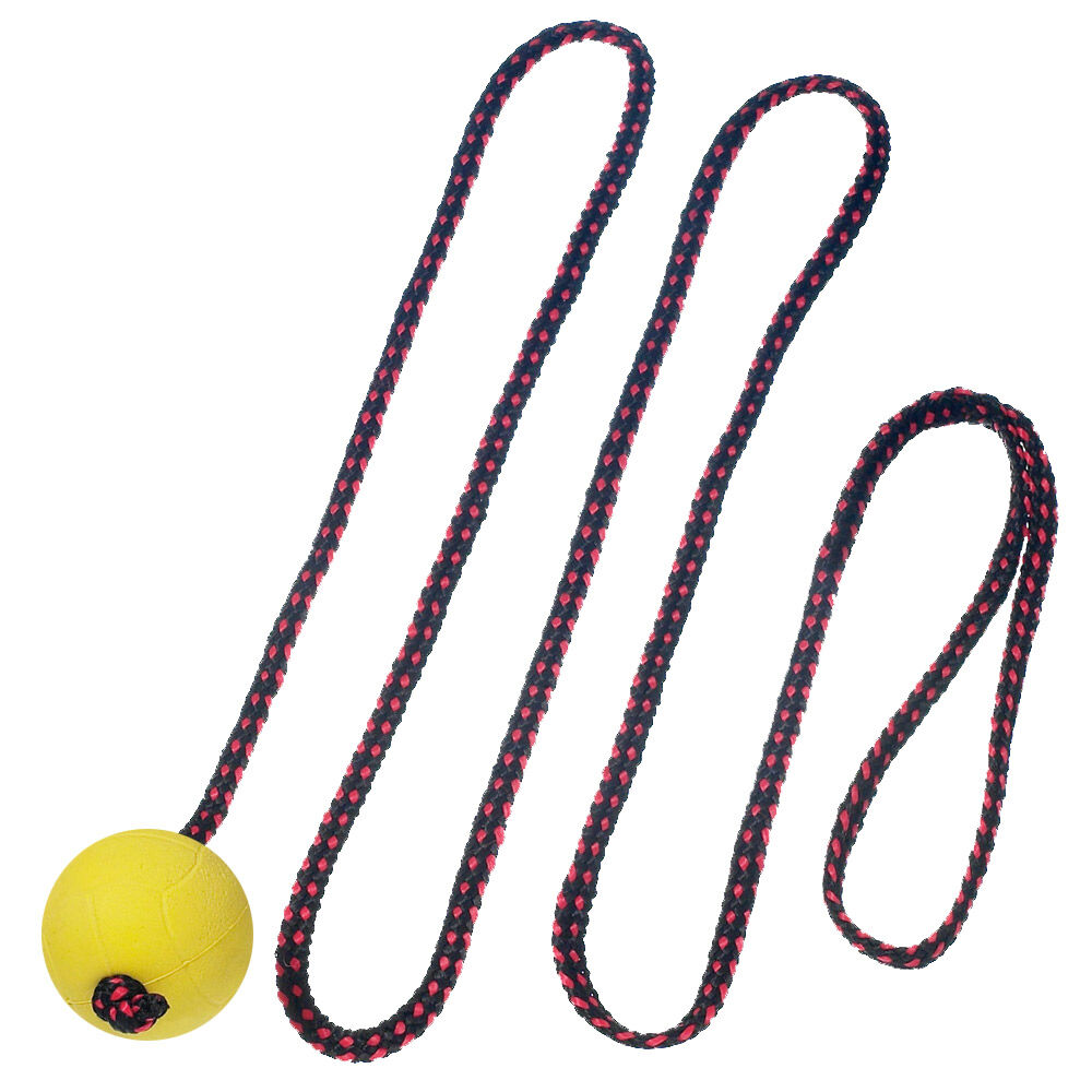 Spiel-Leine mit Ball, 2 m Durchm. 6cm Hundespielzeug Spielzeug Hund