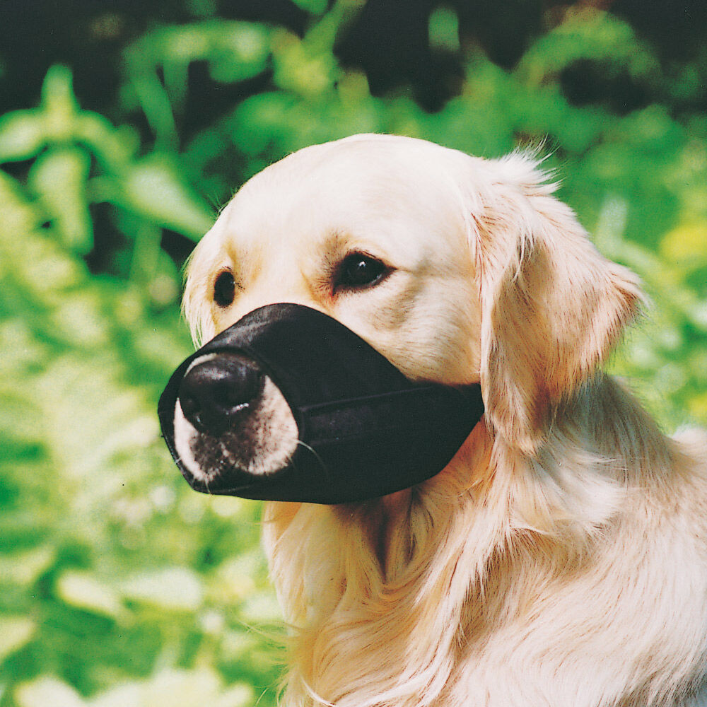 Soft Maulkorb für den Hund eBay