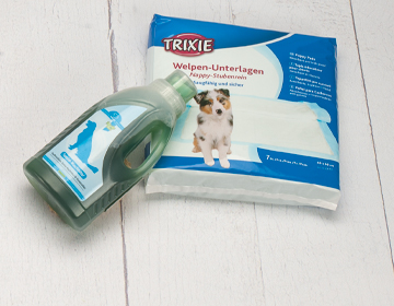Hundehygiene