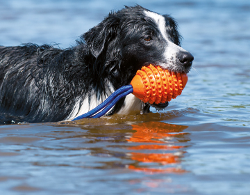 Wasserspielzeug