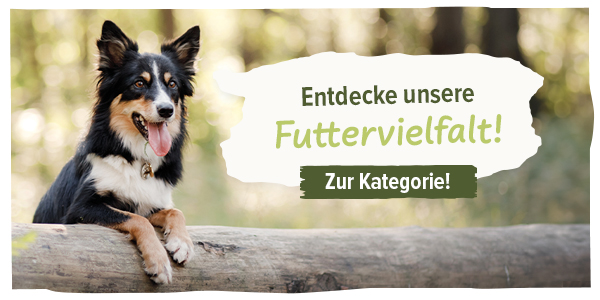 Schecker's Hundefutter