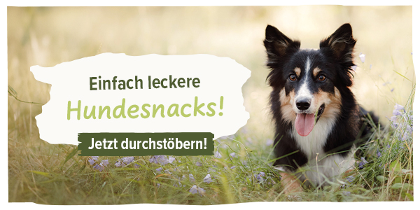 Schecker's Hundesnacks