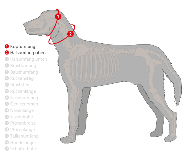 Hunde-Kühlmatte Lissi kaufen bei Schecker.de