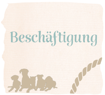 Spiel & Beschftigung