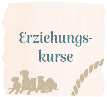 Erziehung