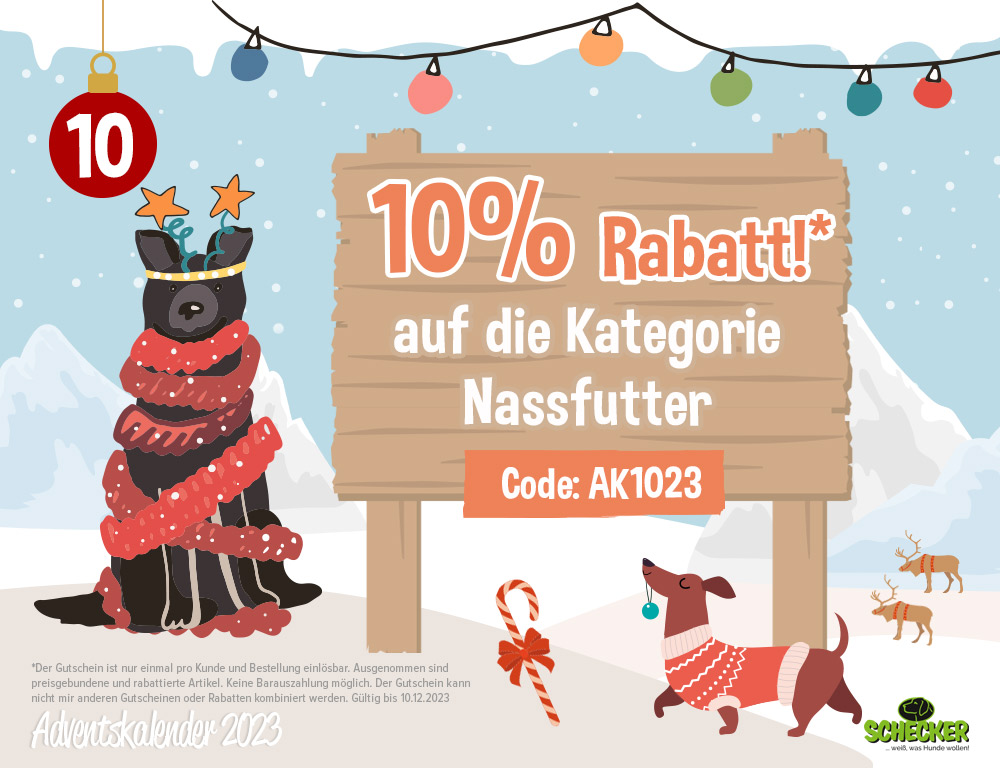 Bild Adventskalender Tr 10