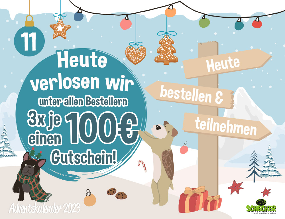 Bild Adventskalender Tr 11