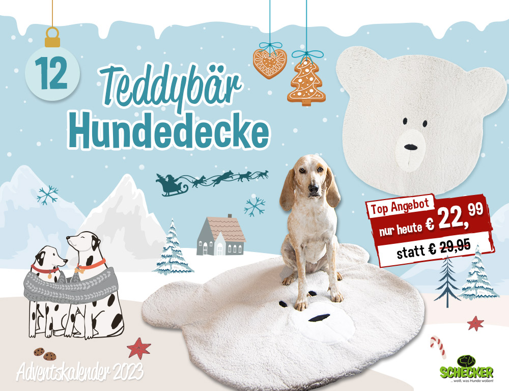 Bild Adventskalender Tr 12