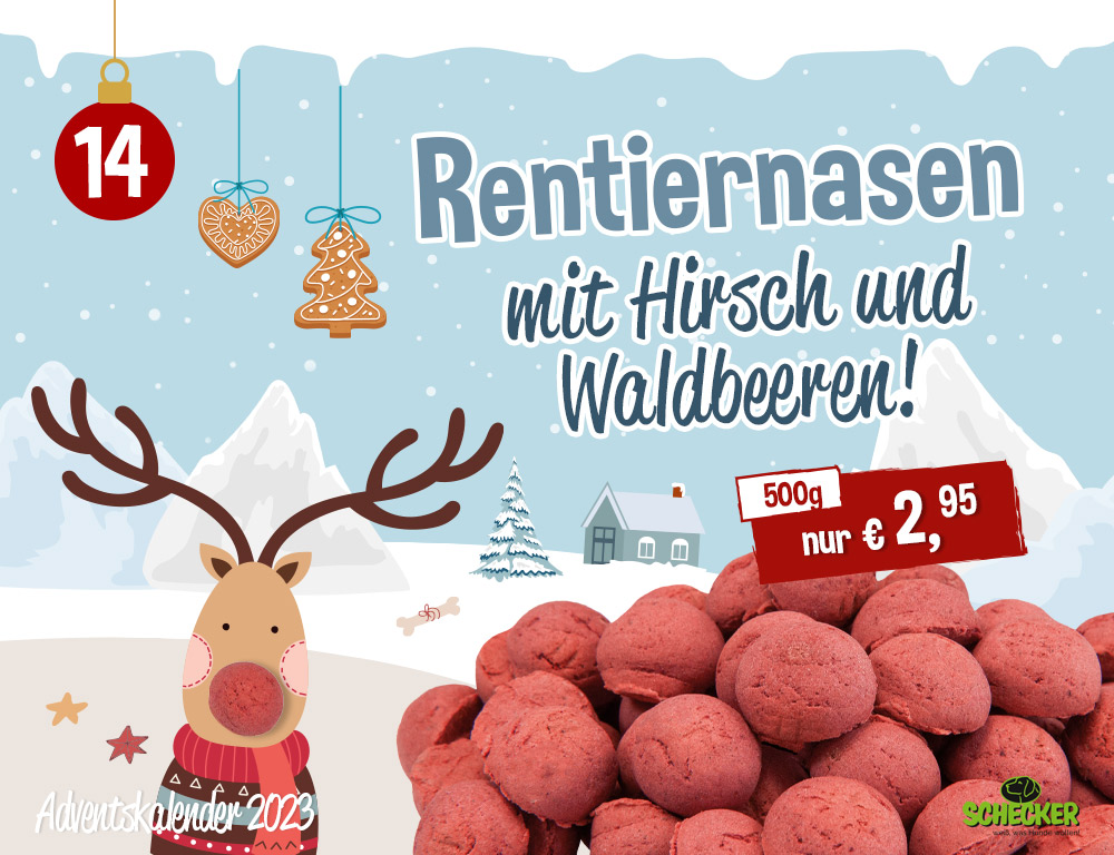Bild Adventskalender Tr 14