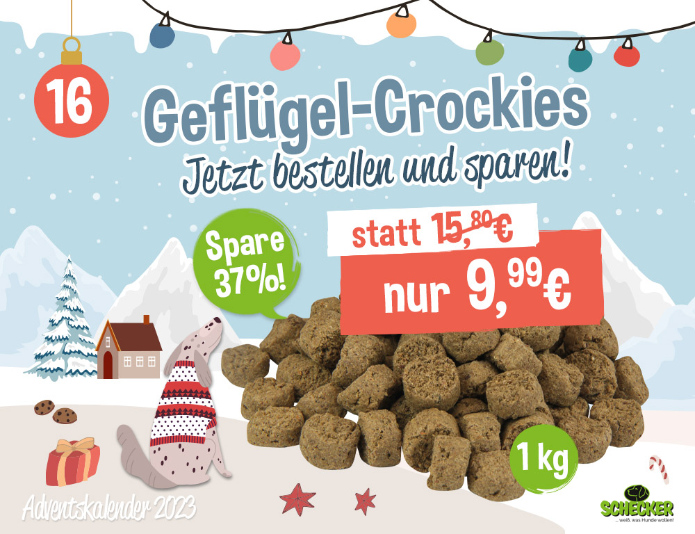Bild Adventskalender Tr 16