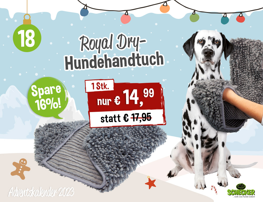 Bild Adventskalender Tr 18