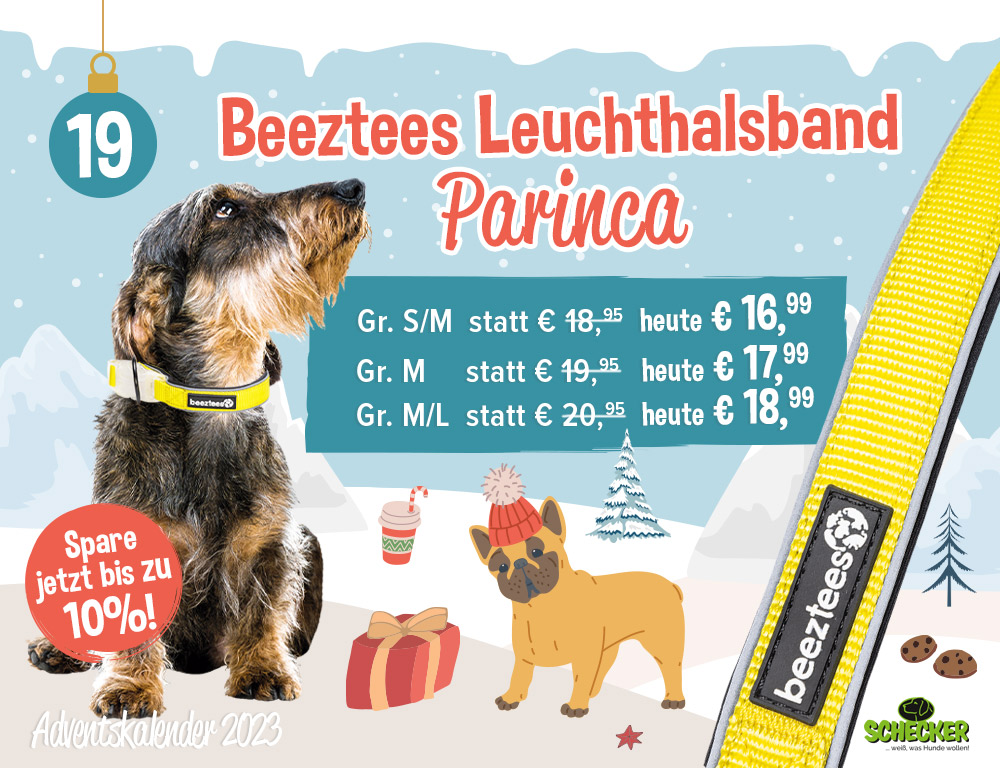 Bild Adventskalender Tr 19