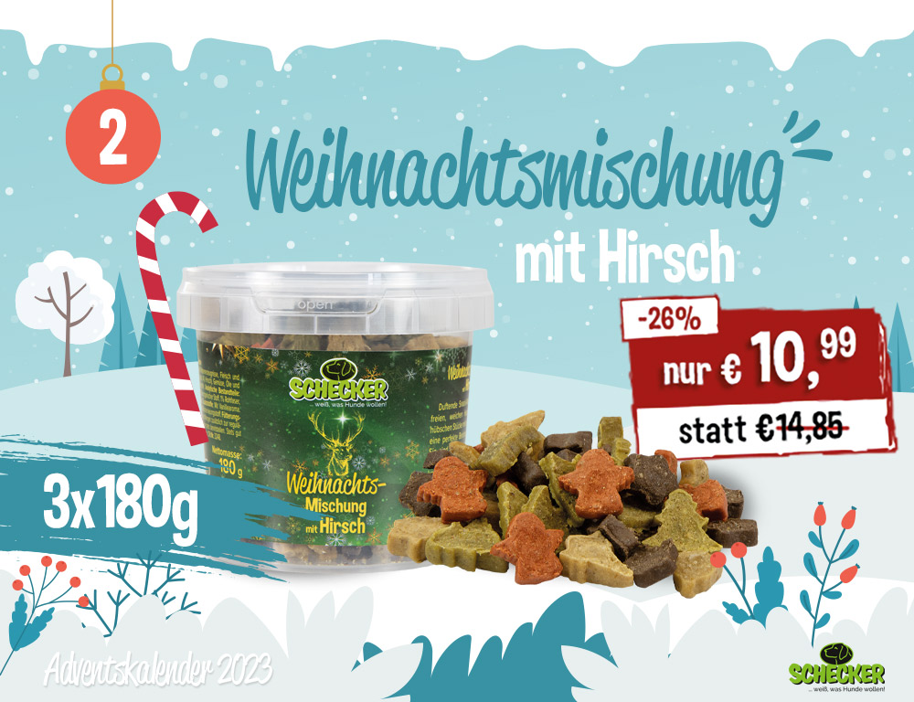 Bild Adventskalender Tr 2