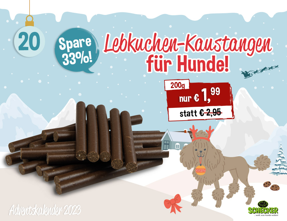Bild Adventskalender Tr 20