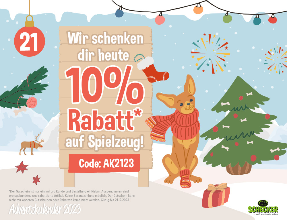 Bild Adventskalender Tr 21
