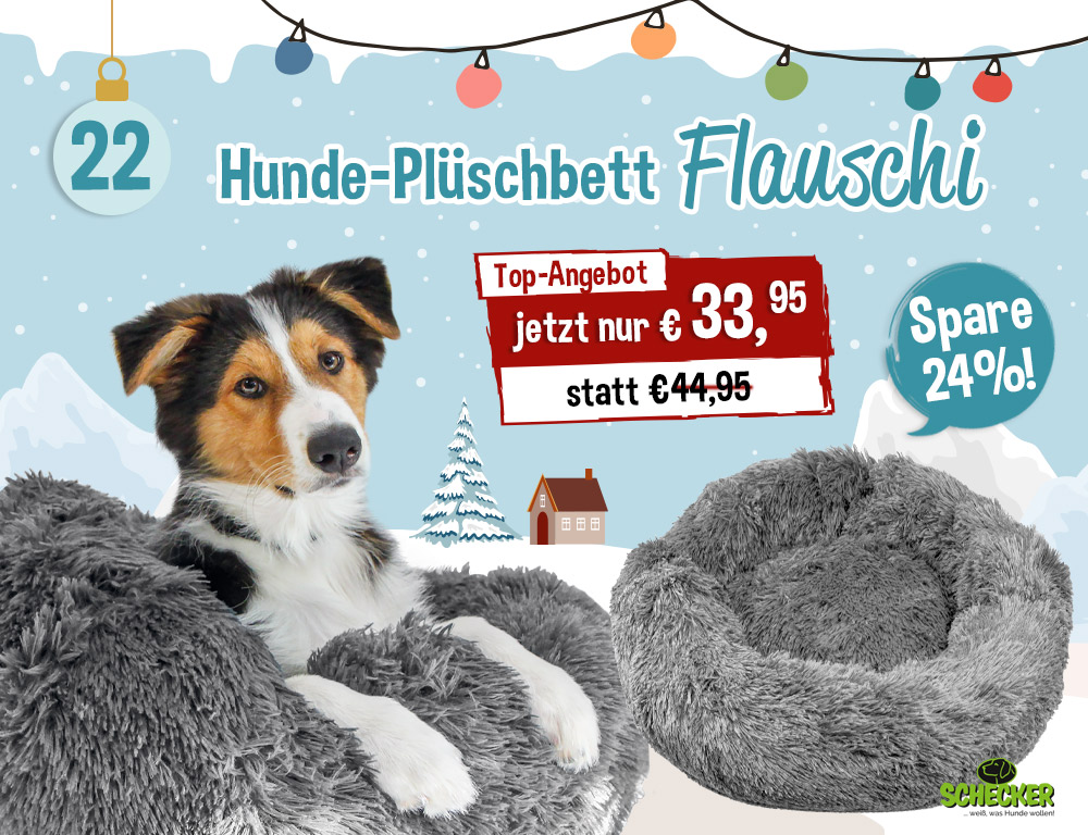 Bild Adventskalender Tr 22