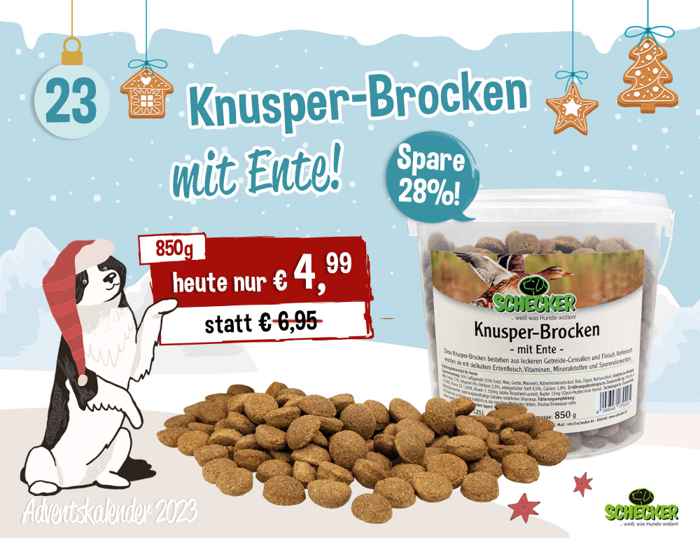 Bild Adventskalender Tr 23