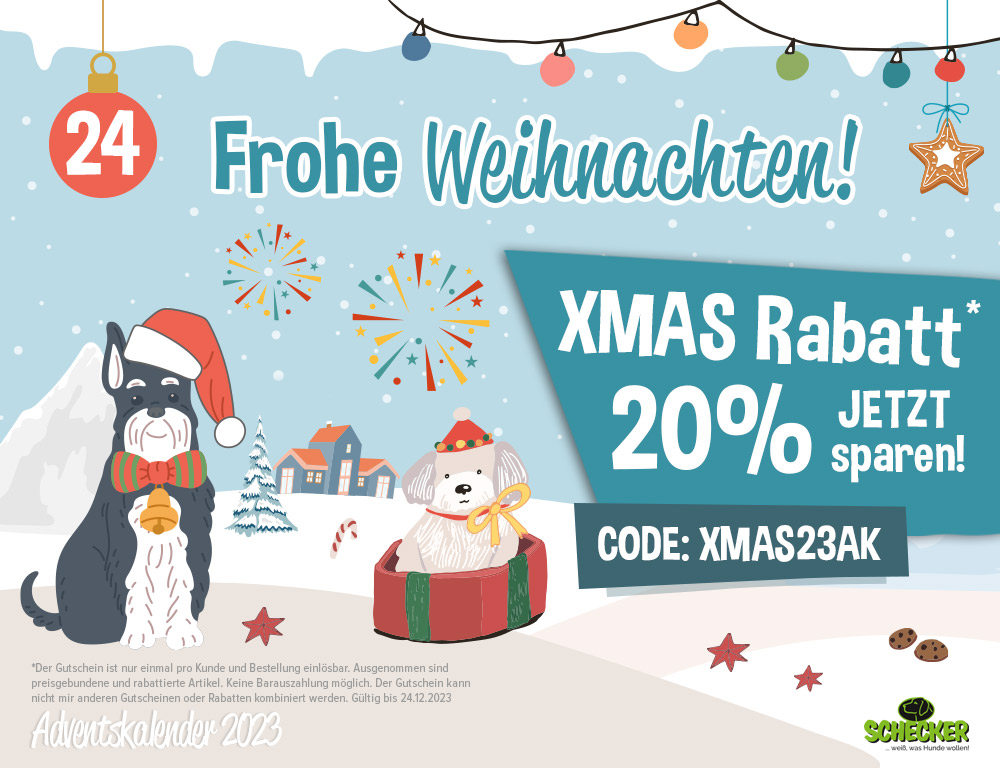 Bild Adventskalender Tr 24