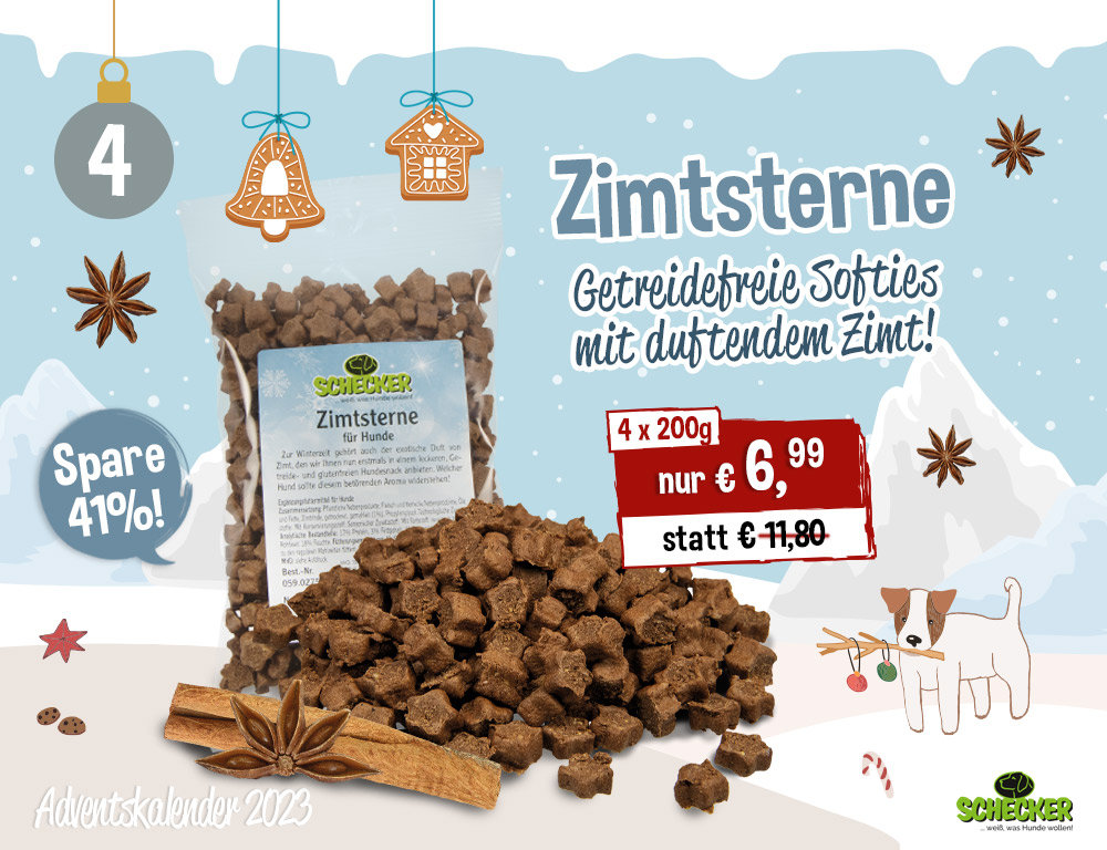 Bild Adventskalender Tr 4