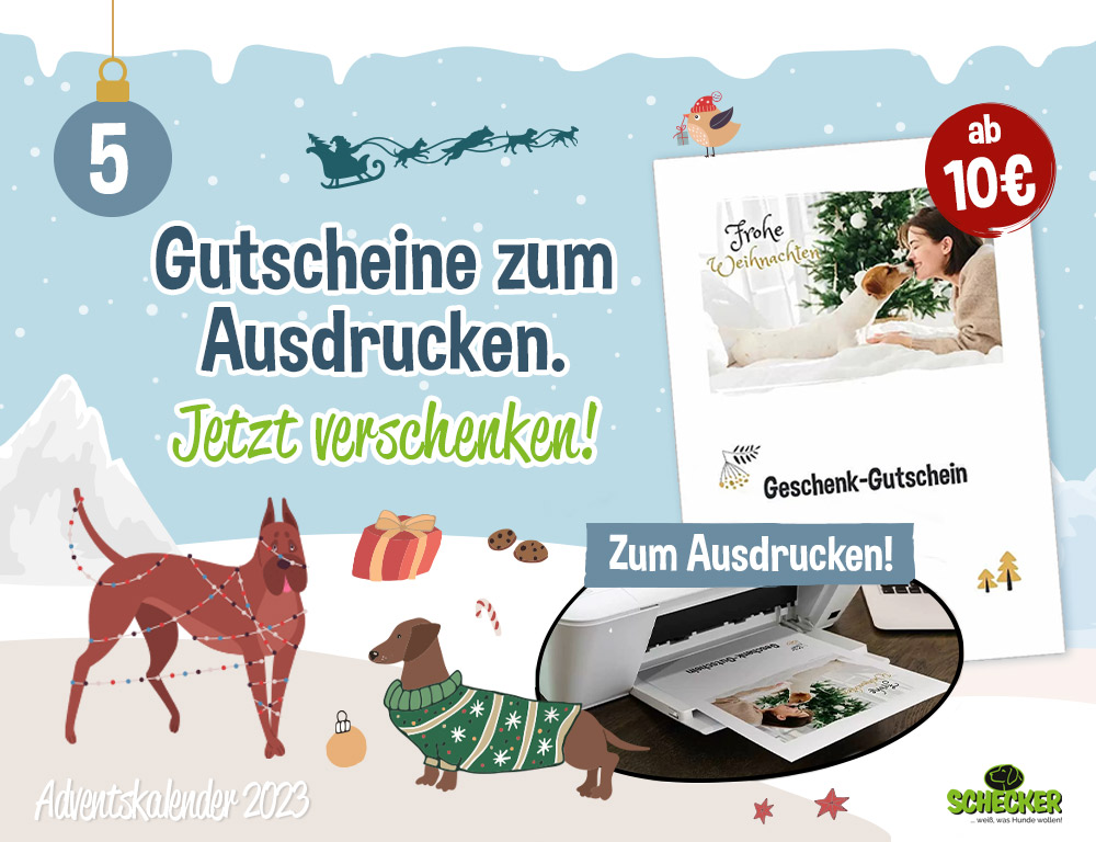 Bild Adventskalender Tr 5