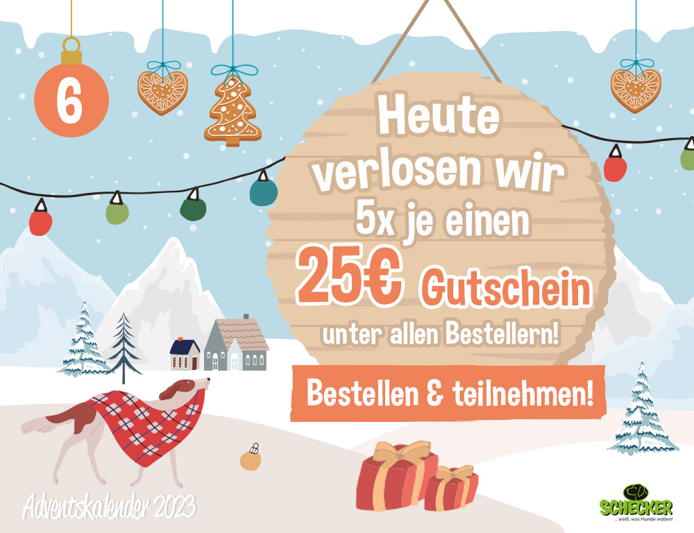 Bild Adventskalender Tr 6