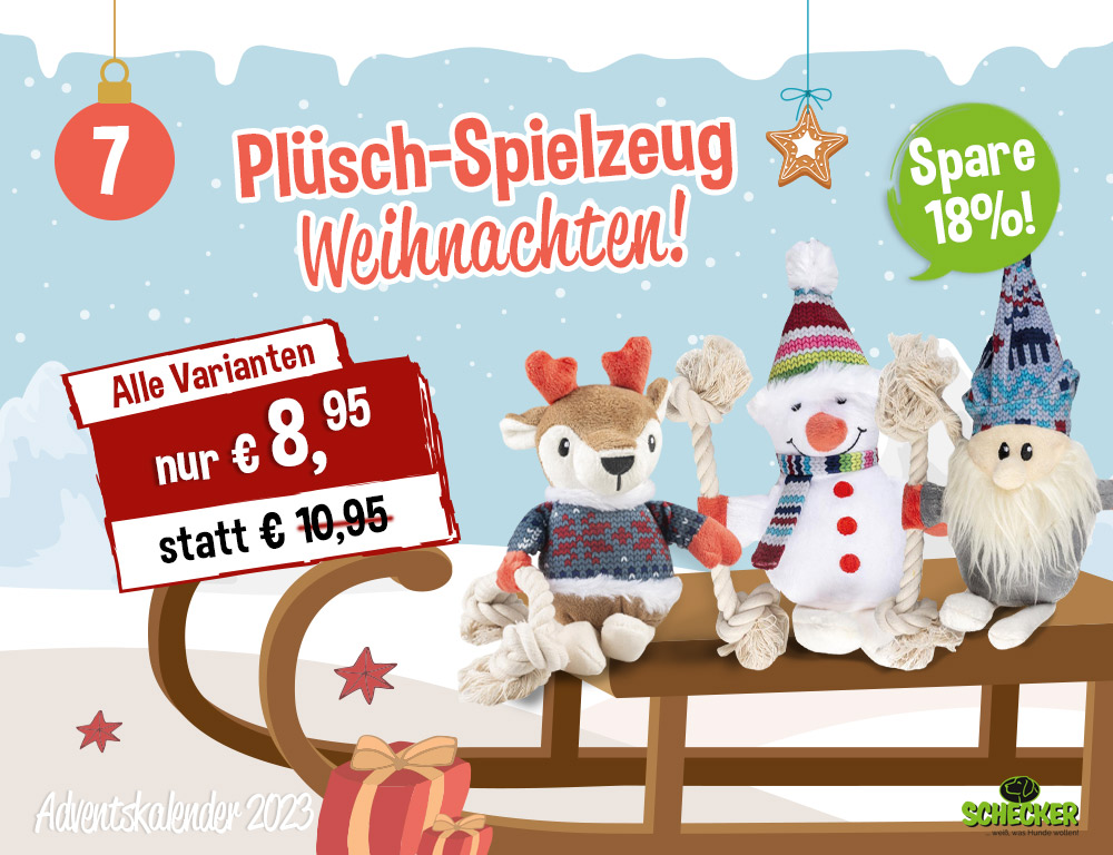 Bild Adventskalender Tr 7