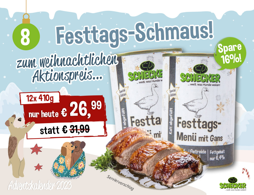 Bild Adventskalender Tr 8