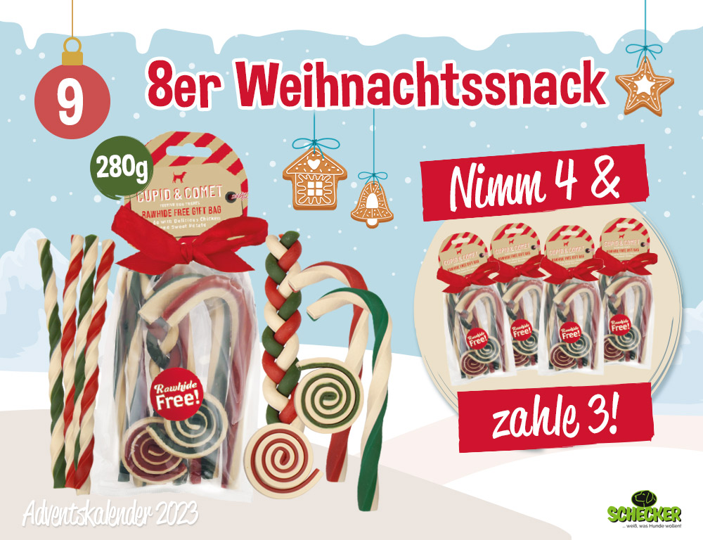 Bild Adventskalender Tr 9