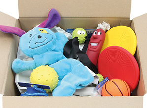 Spielpaket fr kleine Hunde und Welpen