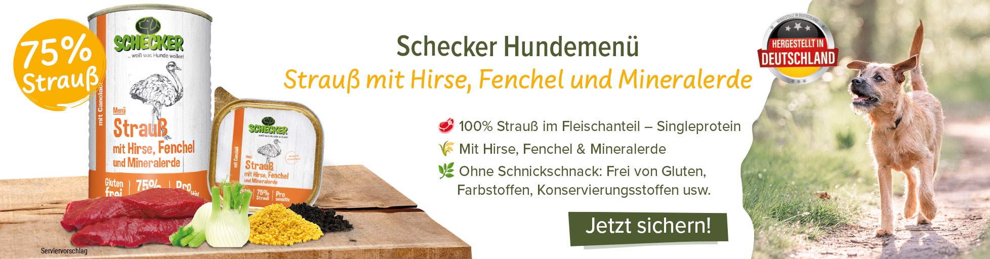 Schecker Hundemen Strauss