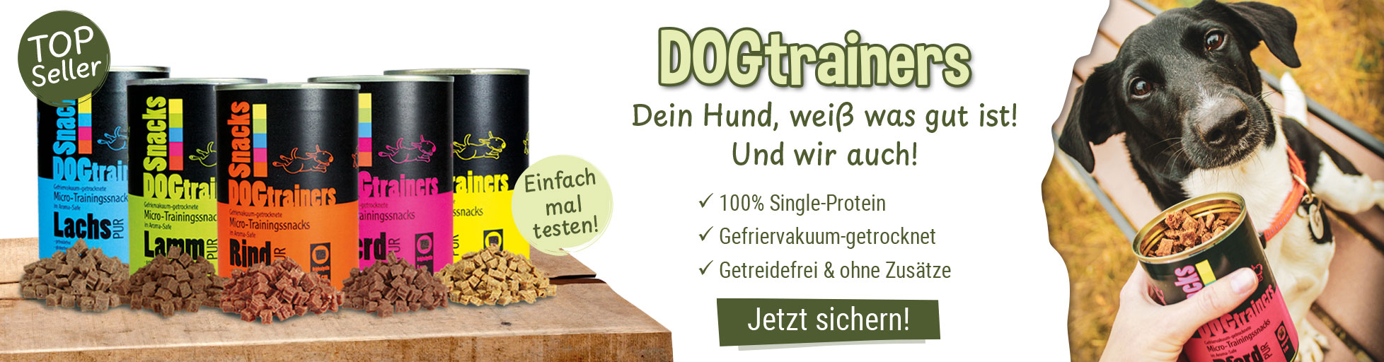 Dog Trainer - Spar Set