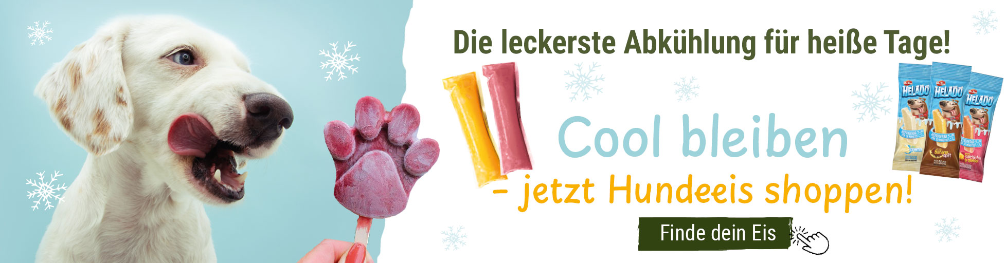 Cool bleiben - Hundeeis