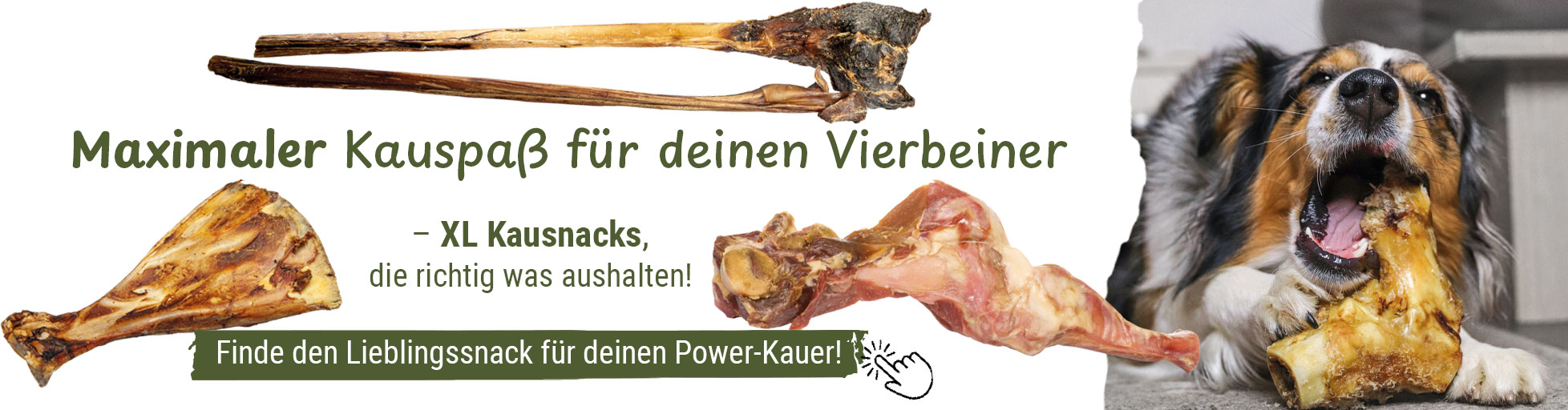Maximaler Kauspa