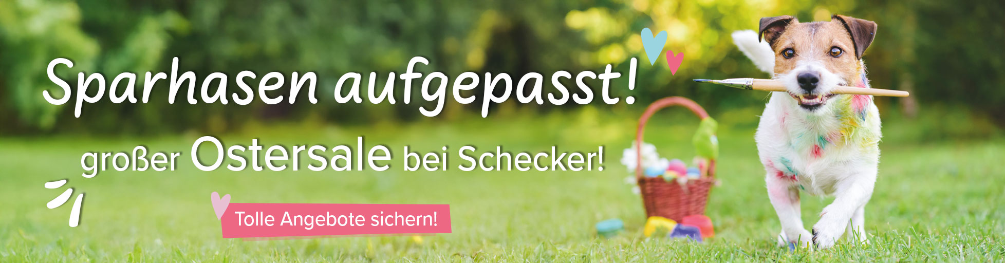 % Oster - SALE %