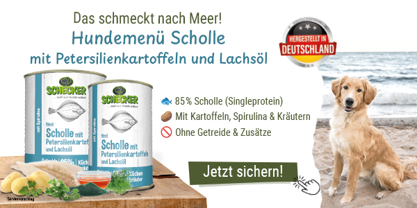Das schmeckt nach Meer