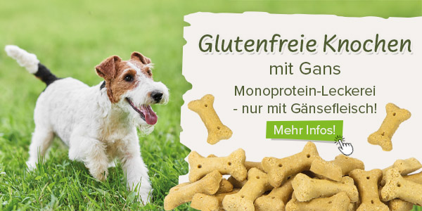 Gebckknochen mit Gans