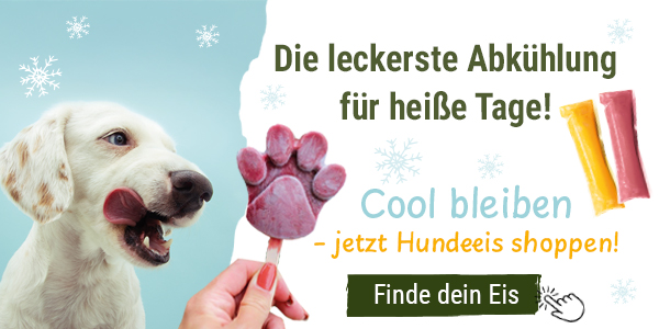 Cool bleiben - Hundeeis