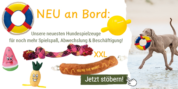 Neues Spielzeug an Bord