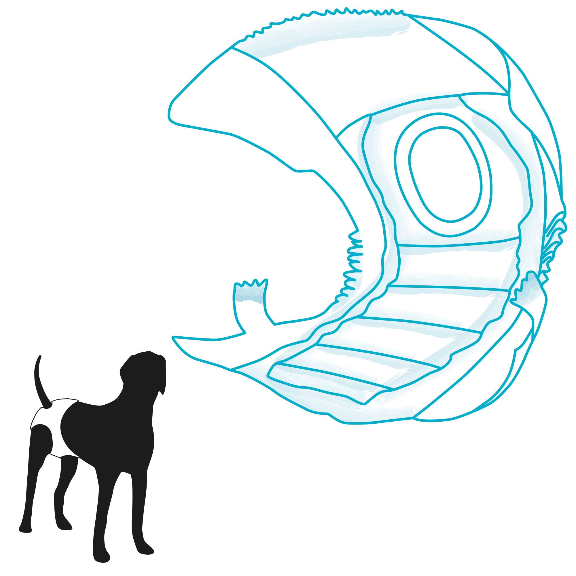 Hundewindeln Ideal für läufige Hündinnen nervöse Hunde inkontinente Hunde