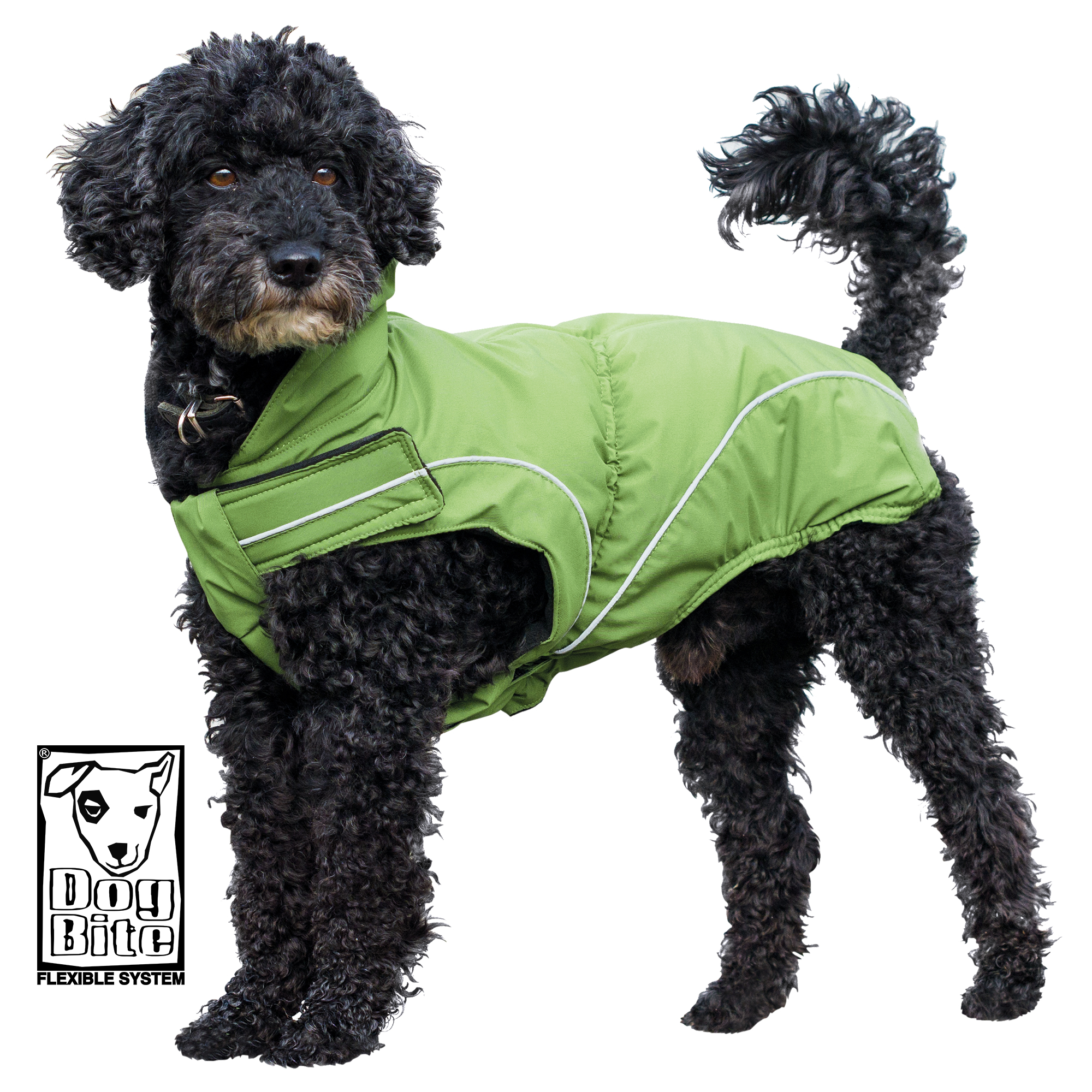 DogBite Winterjacke Grün wind und wasserdicht pflegeleicht atmusgaktiv - Bild 2 von 51