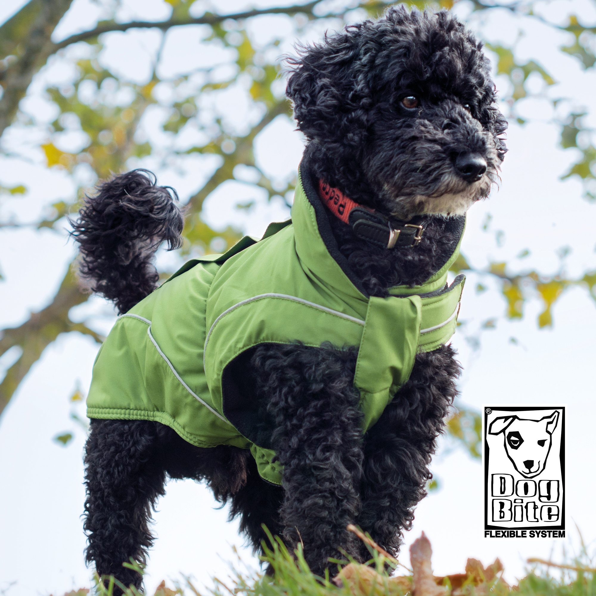 DogBite Winterjacke Grün wind und wasserdicht pflegeleicht atmusgaktiv - Bild 3 von 51