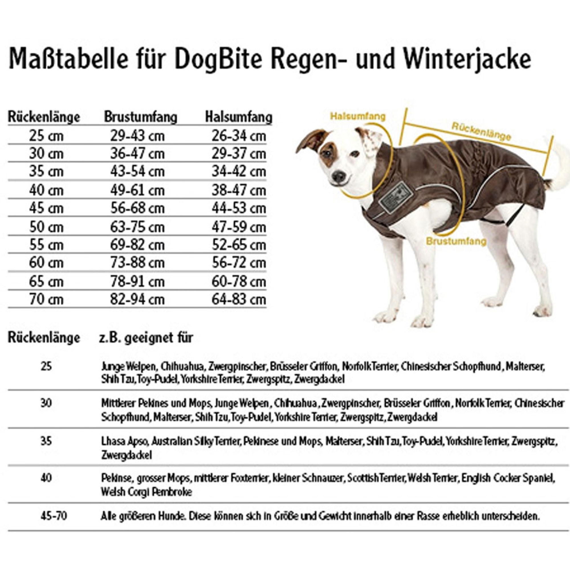 DogBite Winterjacke Grün wind und wasserdicht pflegeleicht atmusgaktiv - Bild 5 von 51