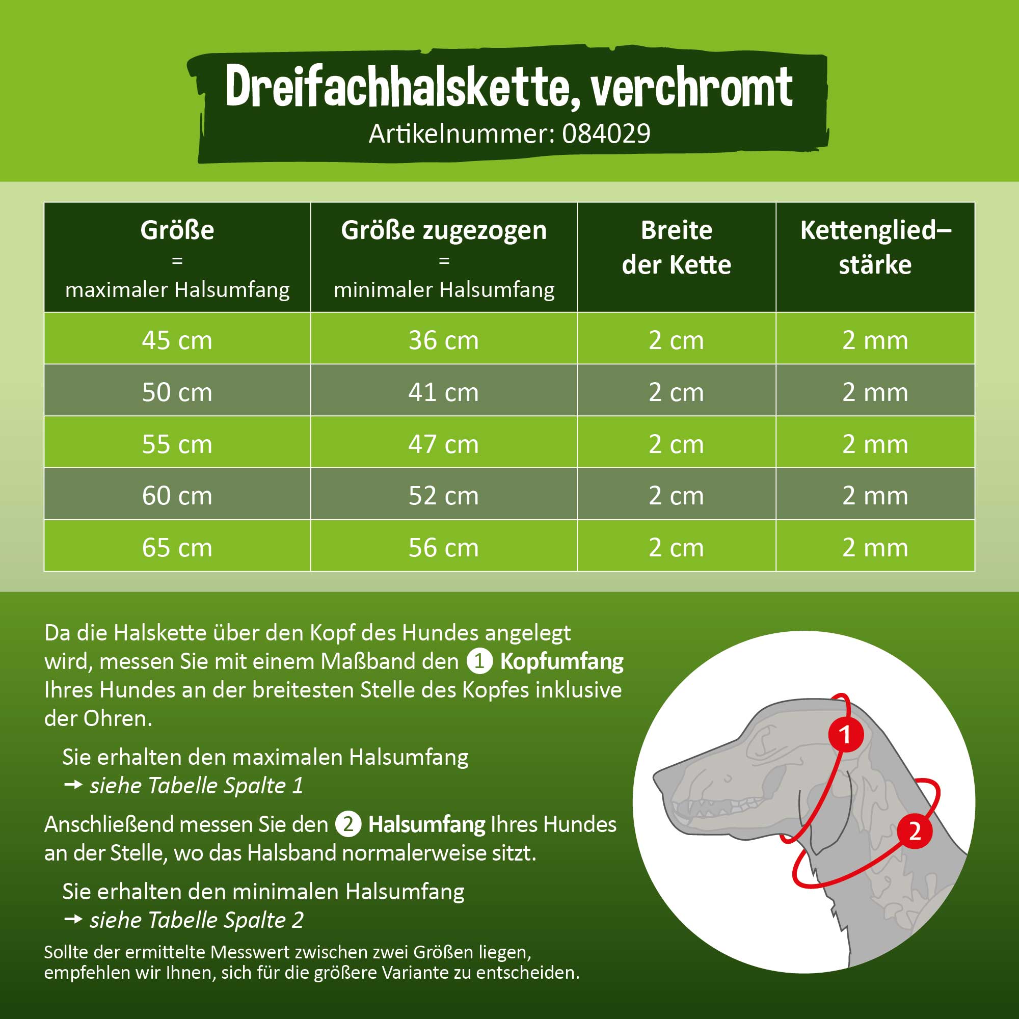 Bild 3 von 11