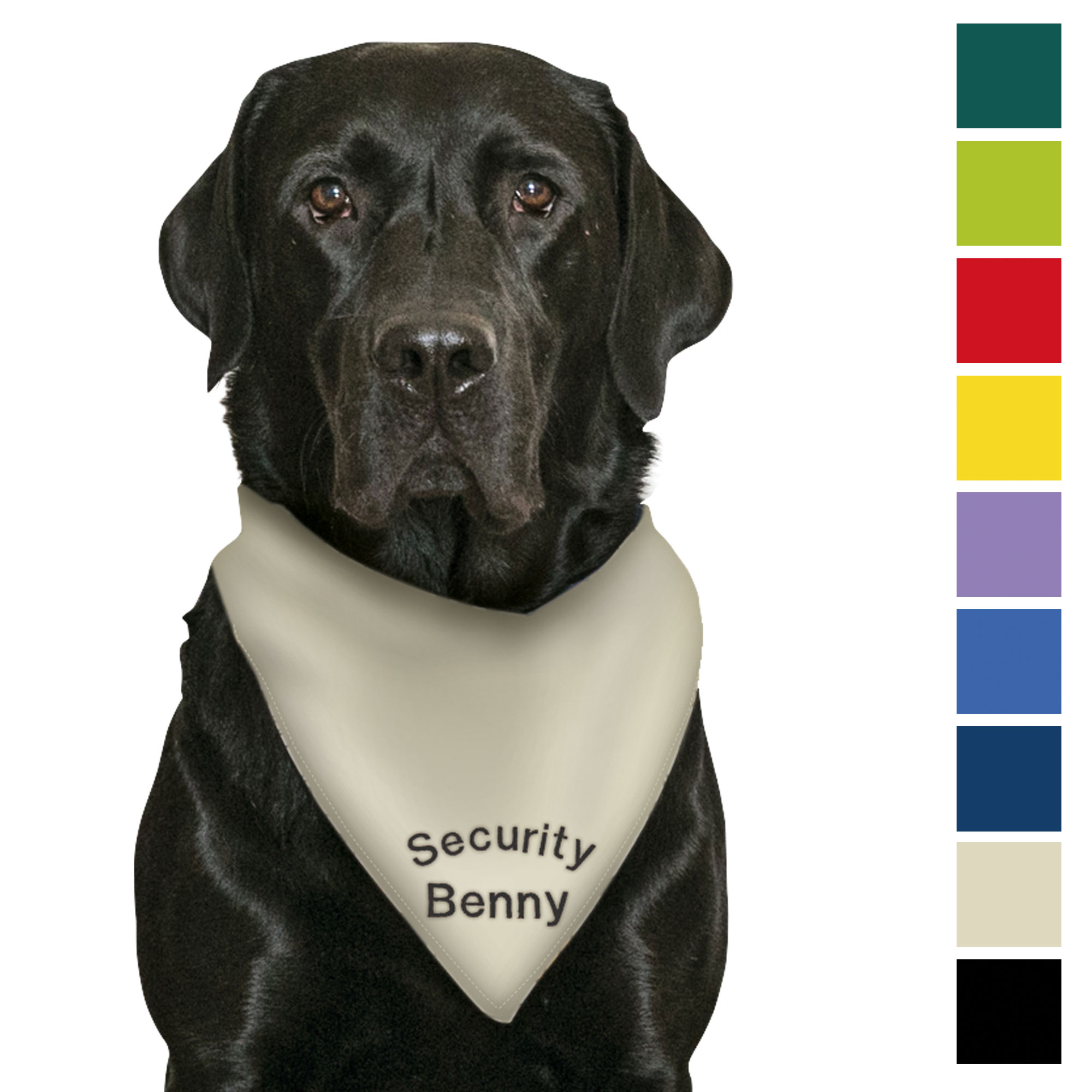 Schecker Besticktes Hunde Halstuch Motiv Security Hundename Bandana Halsband
