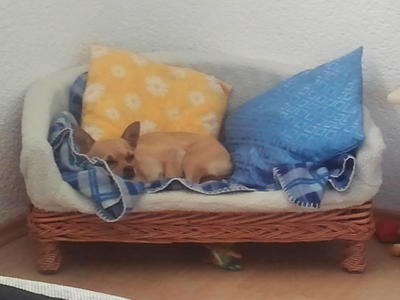 Dieses Bild stammt von Susann H. und wurde am 10.06.2013 hochgeladen