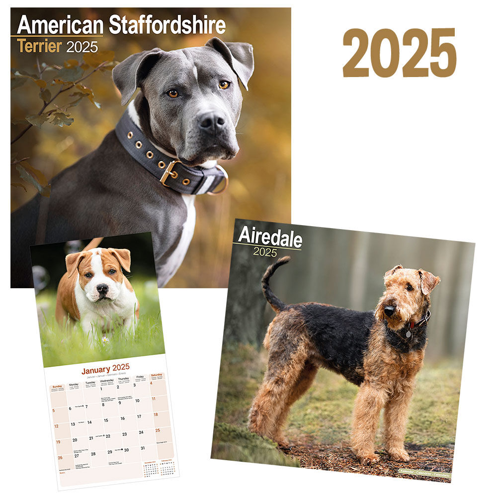 Rassekalender 2021 Kaufen Bei Schecker