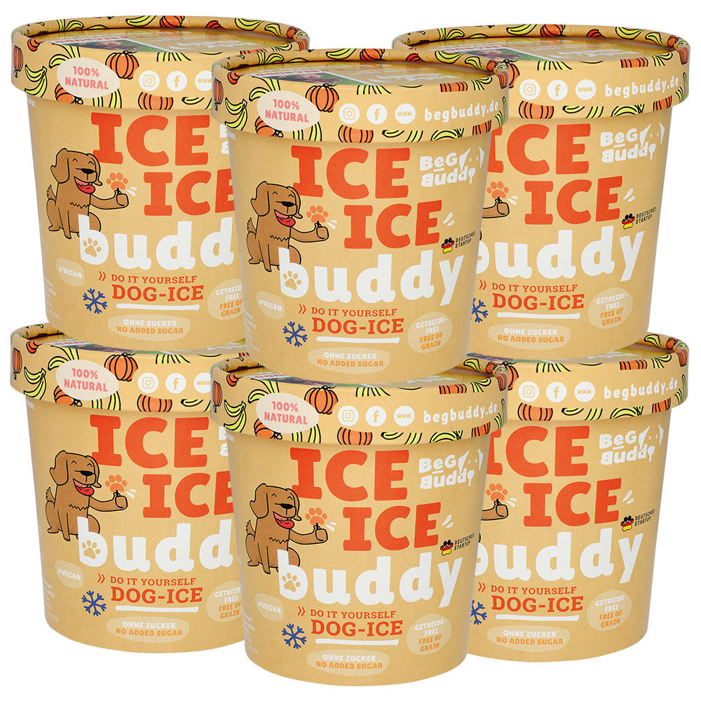 ICE ICE Buddy Hundeeis [Kürbis-Banane - 6 Stück]
