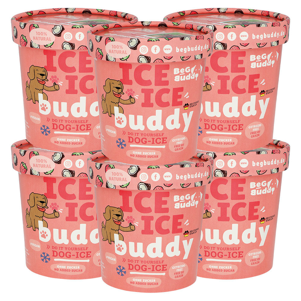 ICE ICE Buddy Hundeeis [Kokos-Erdbeere - 6 Stück]